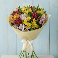 Букет цветов из:  Альстромерии в Чульман