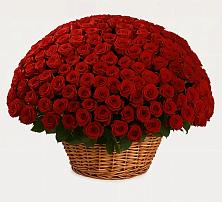 Премиум букет из: Розы в Чульман