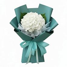 Букет цветов из:  Гортензия в Чульман